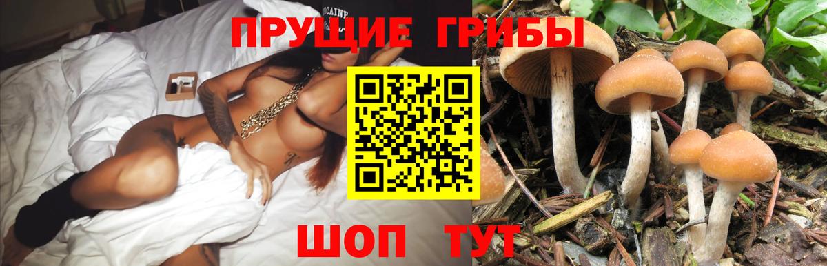 Галлюциногенные грибы MAGIC MUSHROOMS  Вход с VPN  Коломна  Галлюциногенные грибы Magic Shrooms 